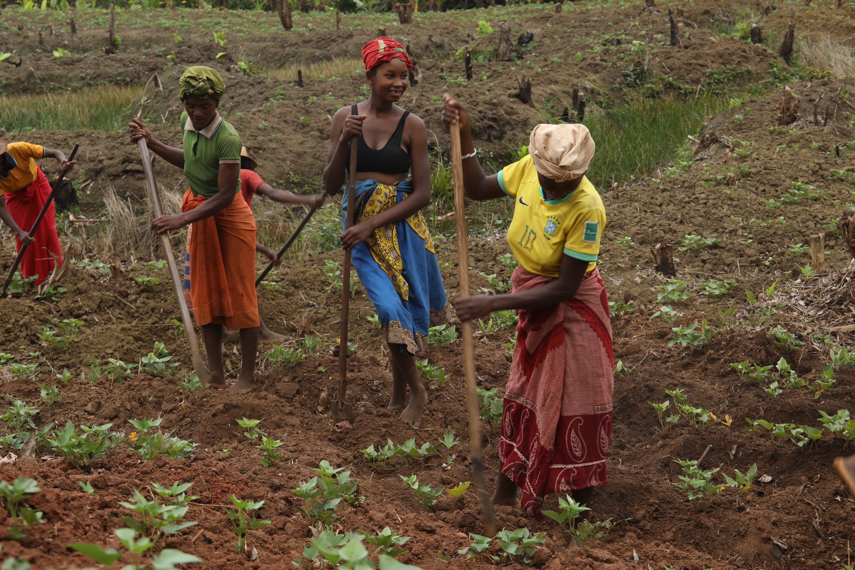 Femmes travaillant la terre dans un champ