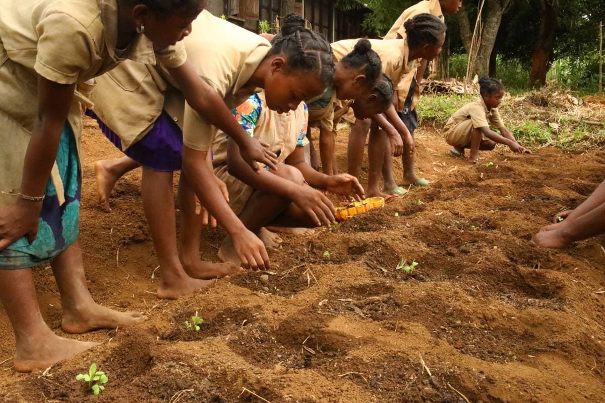 Jeunes filles plantant des semis dans un jardin scolaire