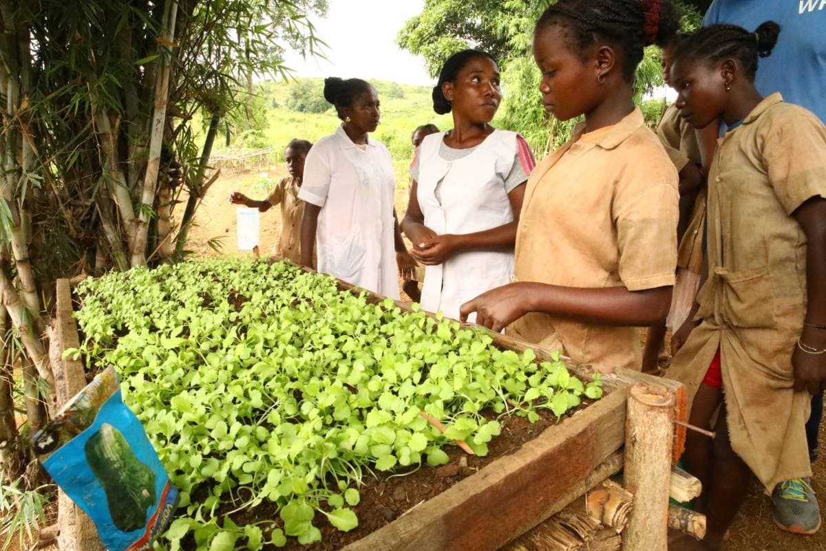 Formation dans une pépinière villageoise