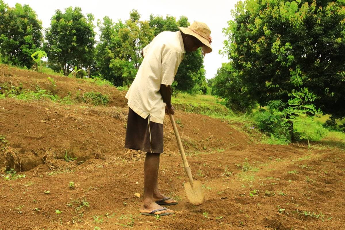 Agriculteur préparant le sol à la pelle sur une parcelle restaurée